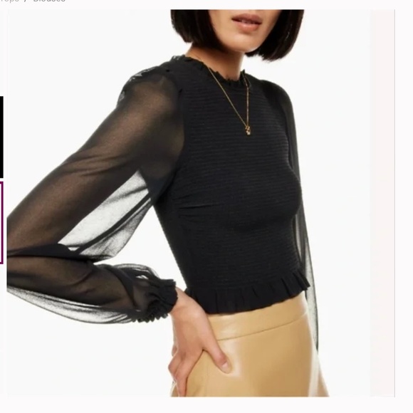 Aritzia Wilfred Tempest Smocked Chiffon Sheer Sleeve Blouse in Black Size Small - Picture 2 of 8
